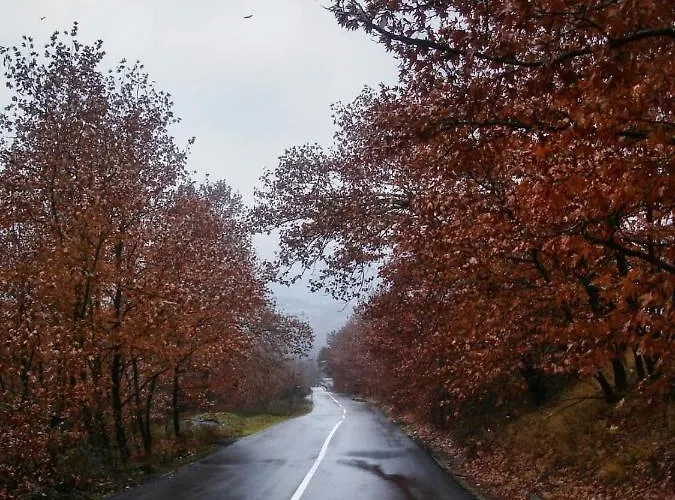 Villa Mountain Retreat